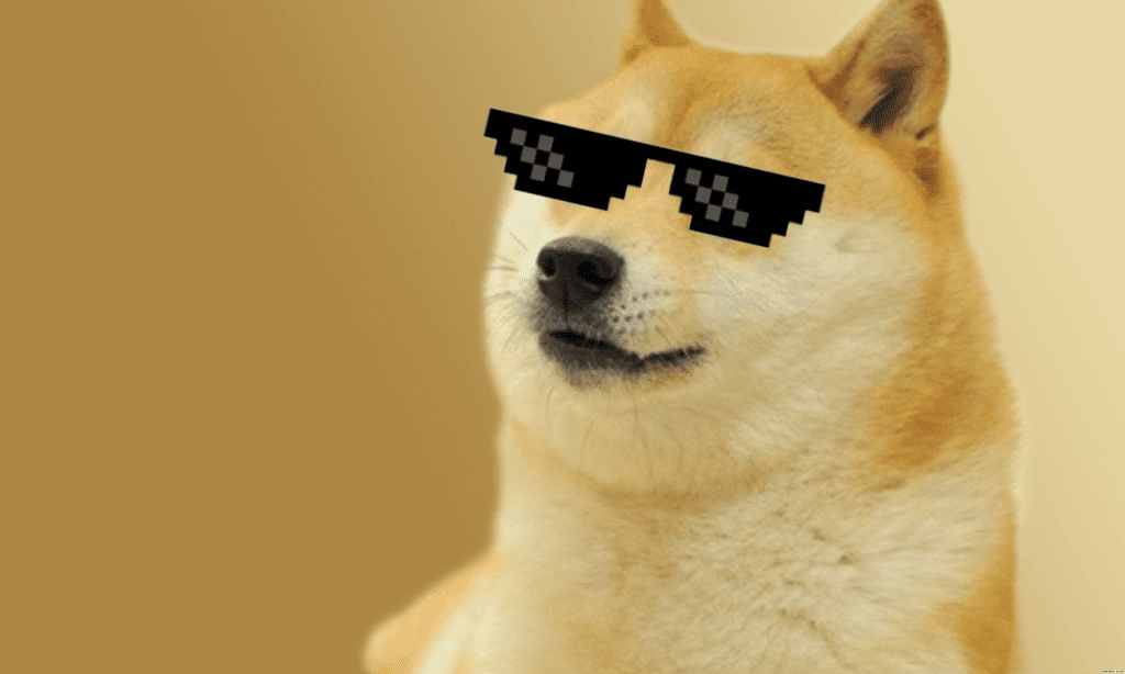 Meme doge Turn Down for What