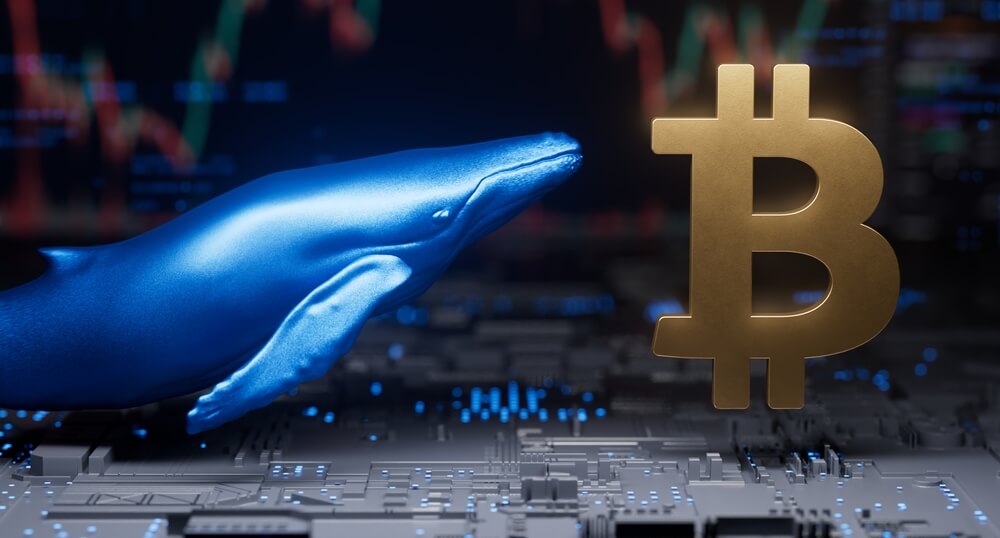 ilustração de baleia com gráficos financeiros ao fundo e letra B símbolo da criptomoeda bitcoin